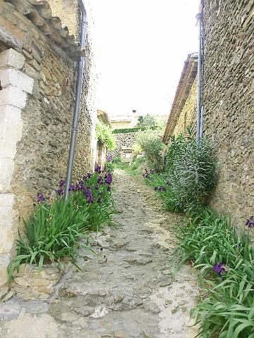 VALLEE  DU RHONE 007.jpg